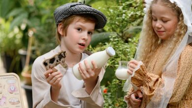 Photo of Как выбрать правильную игрушку