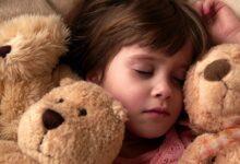 Photo of 4 года: как поддержать развитие