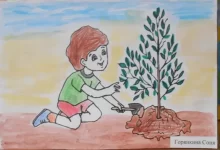 Photo of Как научить детей заботиться о природе