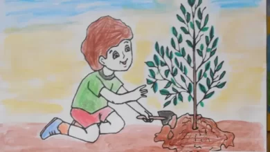 Photo of Как научить детей заботиться о природе