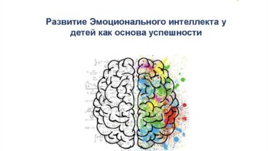 Photo of азвитие интеллекта у детей